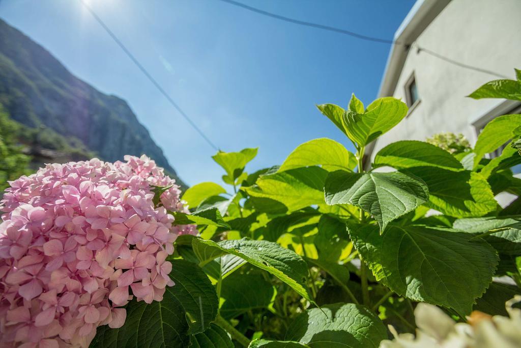 Farm Stay Ferjancic Vipava Esterno foto